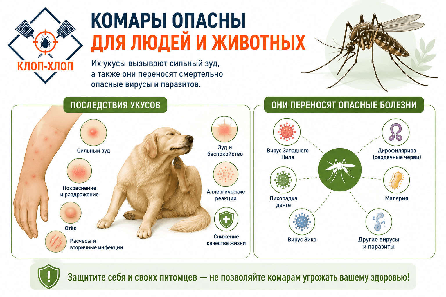 Чем опасны комары для человека и домашних животных